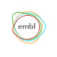 EM Business Labs Pvt Ltd logo, EM Business Labs Pvt Ltd contact details