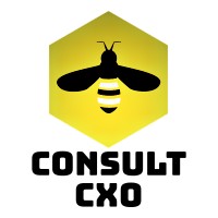 Consult CXO logo, Consult CXO contact details