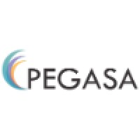 Pegasa Technology Solutions logo, Pegasa Technology Solutions contact details