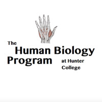 The Human Biology Program at Hunter College logo, The Human Biology Program at Hunter College contact details