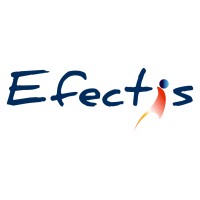 EFECTIS FRANCE logo, EFECTIS FRANCE contact details