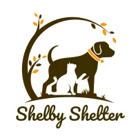 Shelby Shelter logo, Shelby Shelter contact details