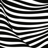 zebra | group GmbH logo, zebra | group GmbH contact details