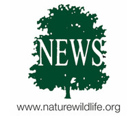 NEWSforNature logo, NEWSforNature contact details