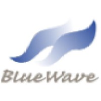 Blue Wave Informatics LLP logo, Blue Wave Informatics LLP contact details