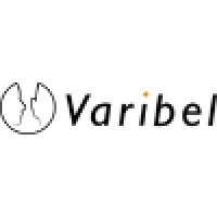 Varibel Innovations bv logo, Varibel Innovations bv contact details