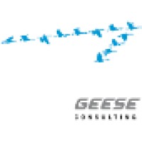 Geese Consulting logo, Geese Consulting contact details