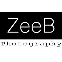 ZeeBStudio logo, ZeeBStudio contact details