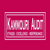 KAMMOURI AUDIT logo, KAMMOURI AUDIT contact details