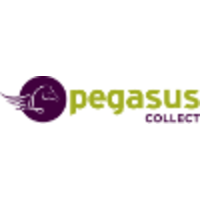 Pegasus International Consultants logo, Pegasus International Consultants contact details