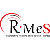 RMeS - Regenerative Medicine and Skeleton logo, RMeS - Regenerative Medicine and Skeleton contact details