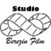 Studio Berezin Film logo, Studio Berezin Film contact details