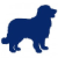 Blue Dog BV logo, Blue Dog BV contact details