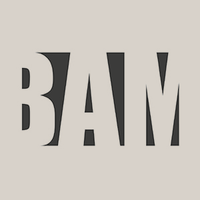 BAM - BISMAN & MASSEY ARCHITECTURE logo, BAM - BISMAN & MASSEY ARCHITECTURE contact details