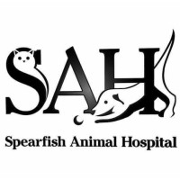 Spearfish Animal Hospital logo, Spearfish Animal Hospital contact details