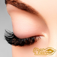 perfect lashes logo, perfect lashes contact details