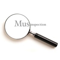 MusInspection logo, MusInspection contact details