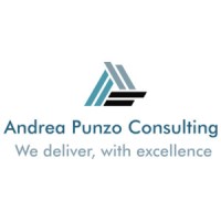 Andrea Punzo Consulting logo, Andrea Punzo Consulting contact details