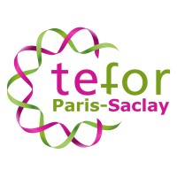 TEFOR Paris-Saclay logo, TEFOR Paris-Saclay contact details