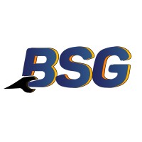 BSG SOLUCIONES logo, BSG SOLUCIONES contact details