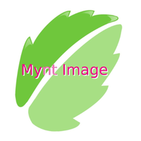 MYNT IMAGE LTD logo, MYNT IMAGE LTD contact details