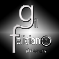 Gil Feliciano Photography logo, Gil Feliciano Photography contact details