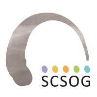 SCSOG Stichting Christelijk Speciaal Onderwijs Groningen logo, SCSOG Stichting Christelijk Speciaal Onderwijs Groningen contact details