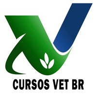 CURSOS VET BR logo, CURSOS VET BR contact details