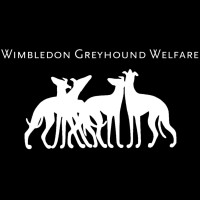 Wimbledon Greyhound Welfare logo, Wimbledon Greyhound Welfare contact details