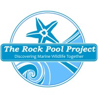 The Rock Pool Project logo, The Rock Pool Project contact details