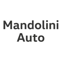 MANDOLINI AUTO S.P.A. logo, MANDOLINI AUTO S.P.A. contact details