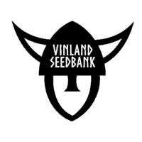 Vinland Seedbank logo, Vinland Seedbank contact details