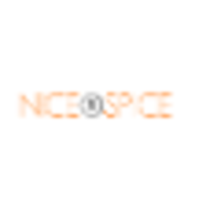 Nice n Spice logo, Nice n Spice contact details