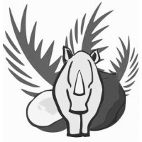 Kindle Coconut logo, Kindle Coconut contact details