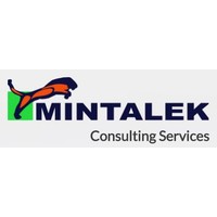 Mintalek Systems logo, Mintalek Systems contact details