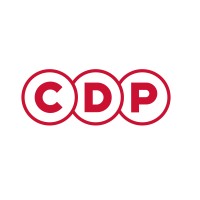 CDP Group, Ltd. logo, CDP Group, Ltd. contact details