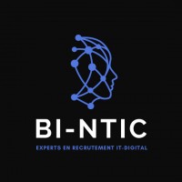 BI NTIC logo, BI NTIC contact details