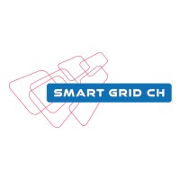 Verein Smart Grid Schweiz (VSGS) logo, Verein Smart Grid Schweiz (VSGS) contact details