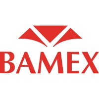 Grupo Bamex, S.A. de C.V. logo, Grupo Bamex, S.A. de C.V. contact details