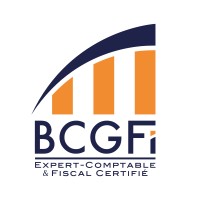 B.C.G.Fi logo, B.C.G.Fi contact details