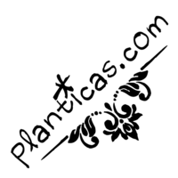 Planticas.com logo, Planticas.com contact details