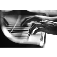 The Pianist logo, The Pianist contact details