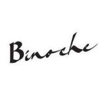 BINOCHE DESIGN logo, BINOCHE DESIGN contact details