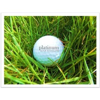 Platinum Golf Scotland logo, Platinum Golf Scotland contact details