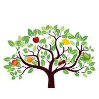 The Orchard Fruit Company logo, The Orchard Fruit Company contact details