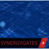 SYNERGY GATES logo, SYNERGY GATES contact details