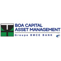 BOA Capital Asset Management logo, BOA Capital Asset Management contact details