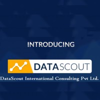 DataScout International Consulting Pvt.Ltd logo, DataScout International Consulting Pvt.Ltd contact details