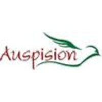 Auspision Llc logo, Auspision Llc contact details