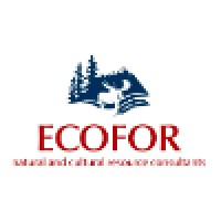 Ecofor Consulting Ltd. logo, Ecofor Consulting Ltd. contact details